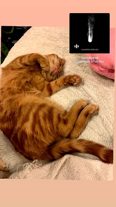 winbun.io winbun.io archive video