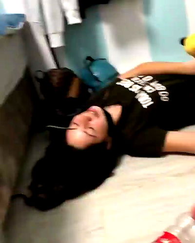 tuliprivet tuliprivet archive video