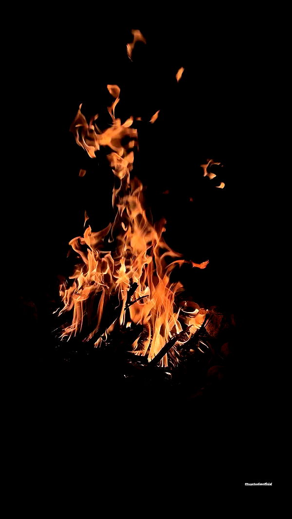 noyaislilith333 archive video preview