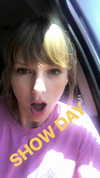 taylorswift Altpins Profile Picture
