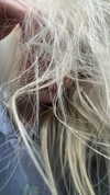 aleksandraverse Altpins Profile Picture
