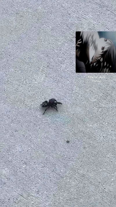 zommmbri zommmbri archive video