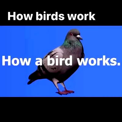 haylujan haylujan archive video