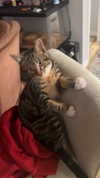 heathergrace67 Altpins Profile Picture