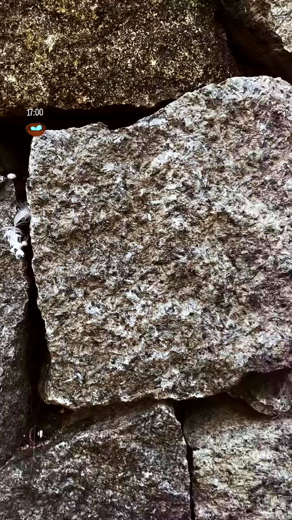 eusandyyh archive video preview