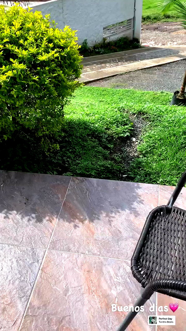 daniel_shallom archive video preview