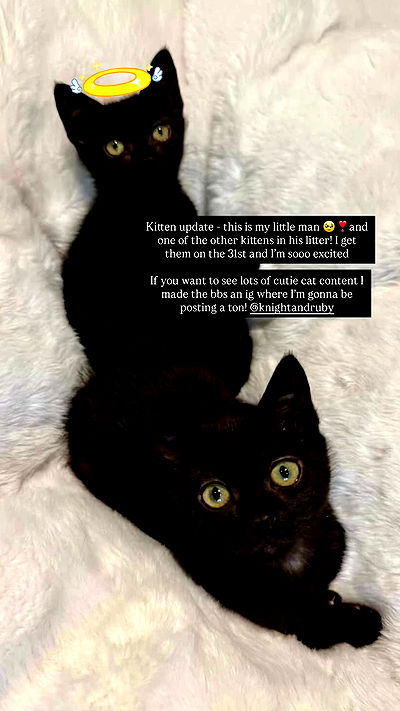 sophiemudd sophiemudd archive video