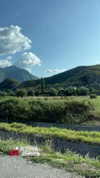 veronika_grish Altpins Profile Picture
