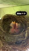 xo.cynnthiia Altpins Profile Picture