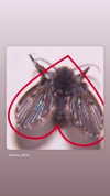 wormfood____ Altpins Profile Picture