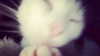 zmbigrl0_o Altpins Profile Picture