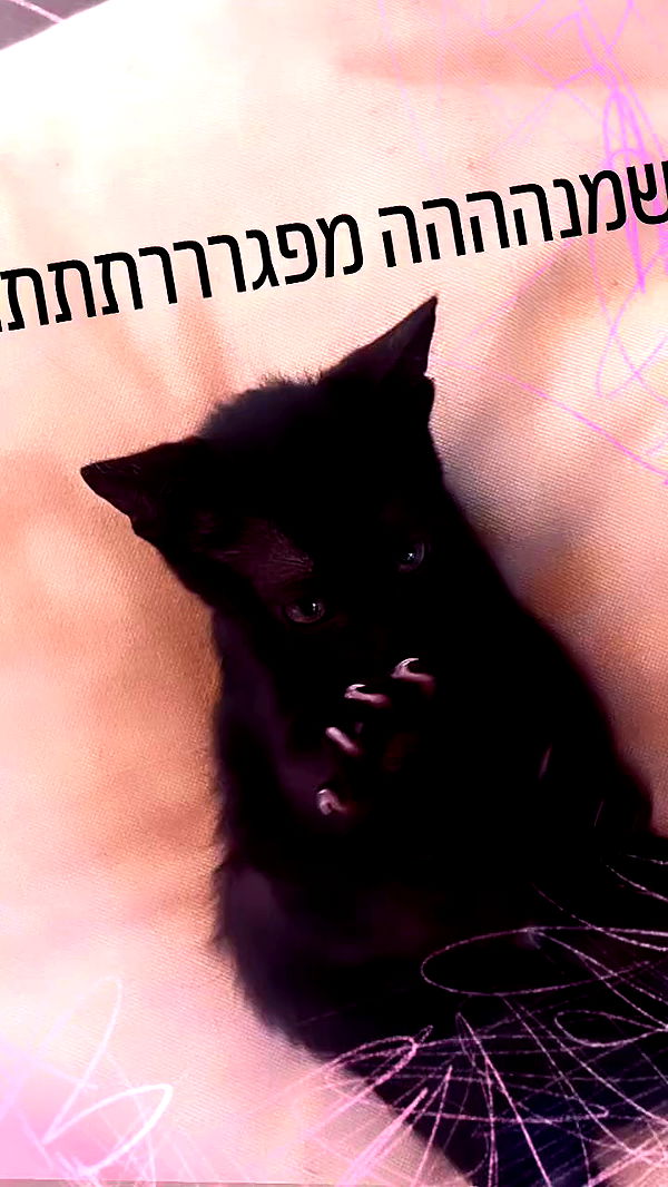 xzot1_met4xx archive video preview