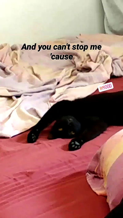 shayli_or shayli_or archive video