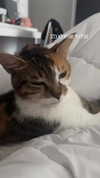babyjoelle_ Altpins Profile Picture