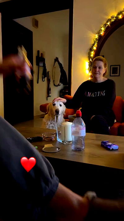 bakedsloths bakedsloths archive video