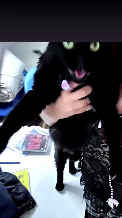 hellokittyangel666 hellokittyangel666 archive video