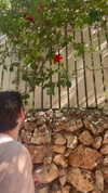 itsellerrrrrrr Altpins Profile Picture