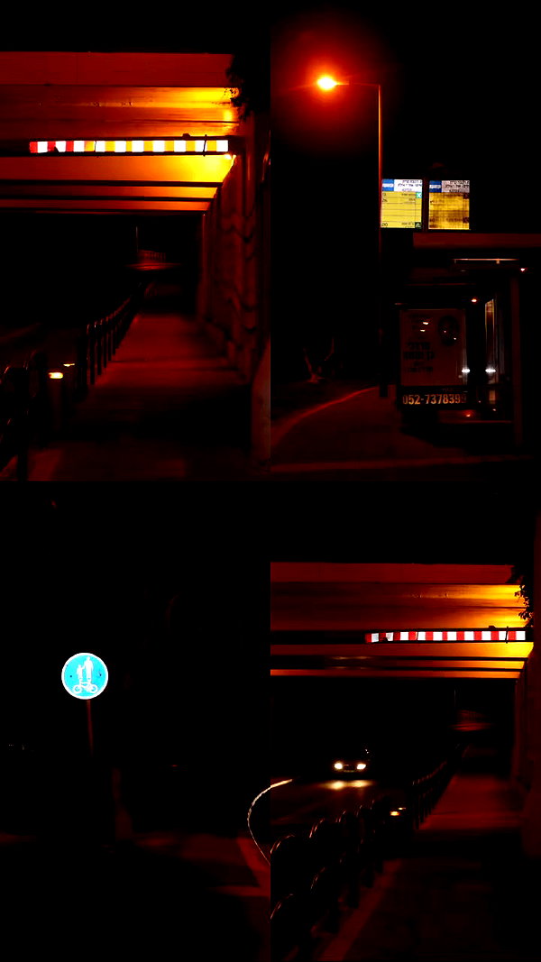 pol1nagraphy archive video preview