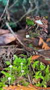 heathergrace67 Altpins Profile Picture