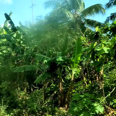 tinapavlov.sky tinapavlov.sky archive video