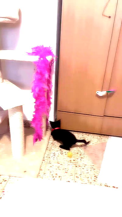 feelbetterinmysweater feelbetterinmysweater archive video