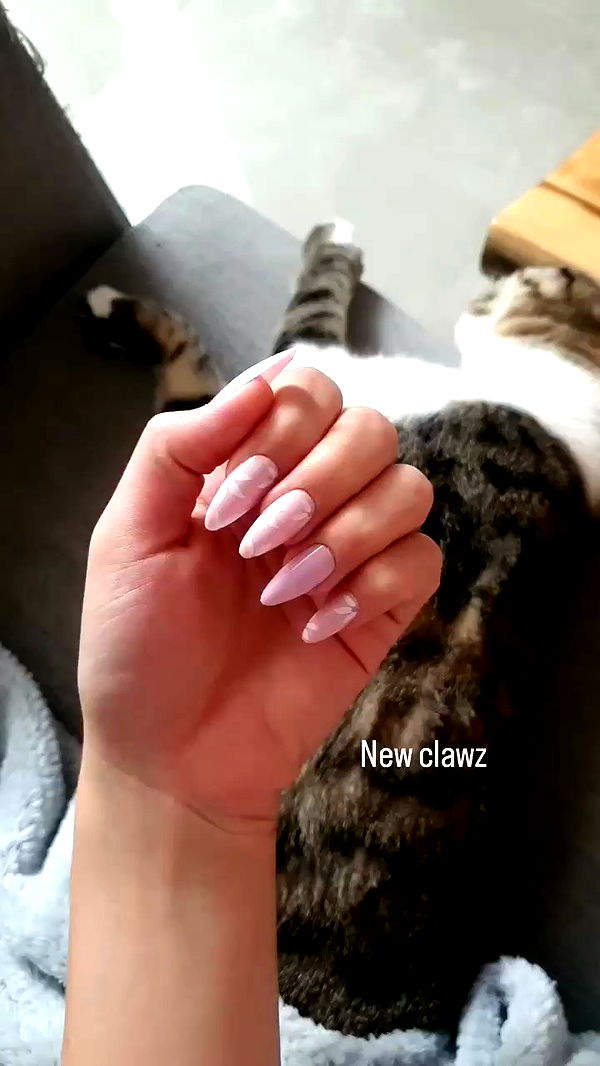 yam_adler archive video preview