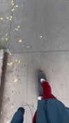 stateofrachel Altpins Profile Picture