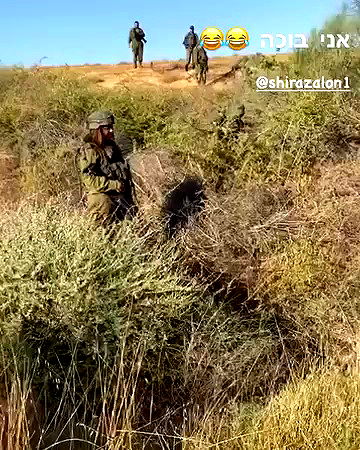 rene2141 rene2141 archive video