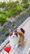 fegalvao_ Altpins Profile Picture