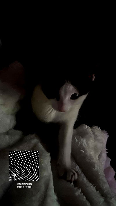 6nattynat9 6nattynat9 archive video