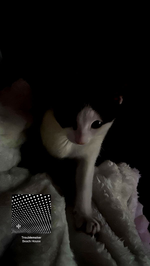 6nattynat9 archive video preview