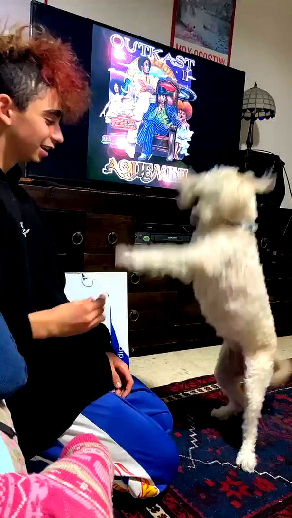 feelbetterinmysweater archive video preview