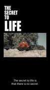 masood_boomgaard Altpins Profile Picture