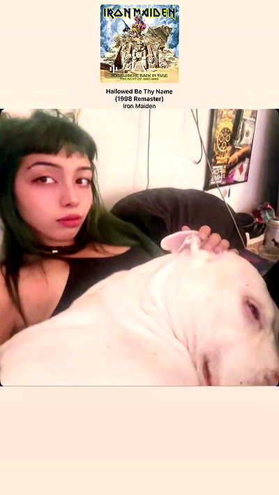 romy_ayalla_lavi romy_ayalla_lavi archive video