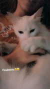 tori_t96 Altpins Profile Picture