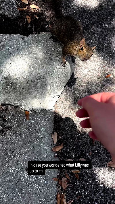 llilbby llilbby archive video