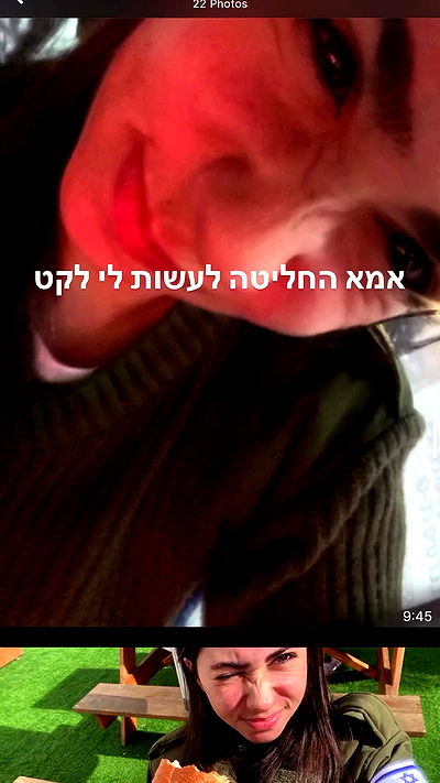 tuliprivet tuliprivet archive video