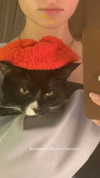 sydney_melman Altpins Profile Picture