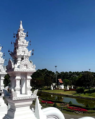 yam_adler yam_adler archive video