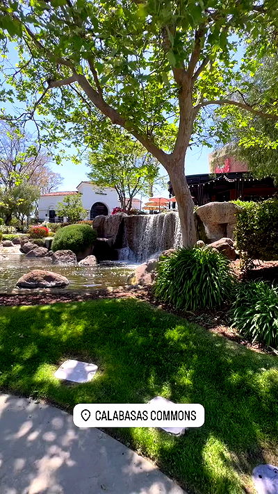 bakedsloths bakedsloths archive video