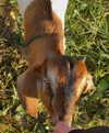 tooonytoony Altpins Profile Picture