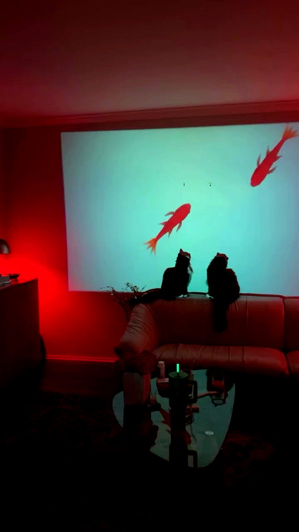 sydney_melman archive video preview