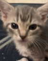 zmbigrl0_o Altpins Profile Picture