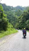 noa_mendel_ Altpins Profile Picture