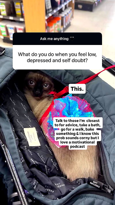 sophiemudd sophiemudd archive video