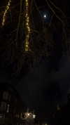 liiuuar Altpins Profile Picture