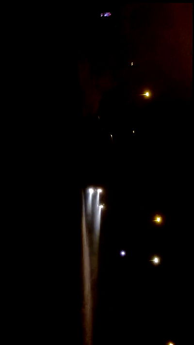 simp_for_cats_ simp_for_cats_ archive video