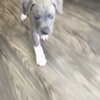 monimaney Altpins Profile Picture