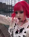 antijuls Altpins Profile Picture