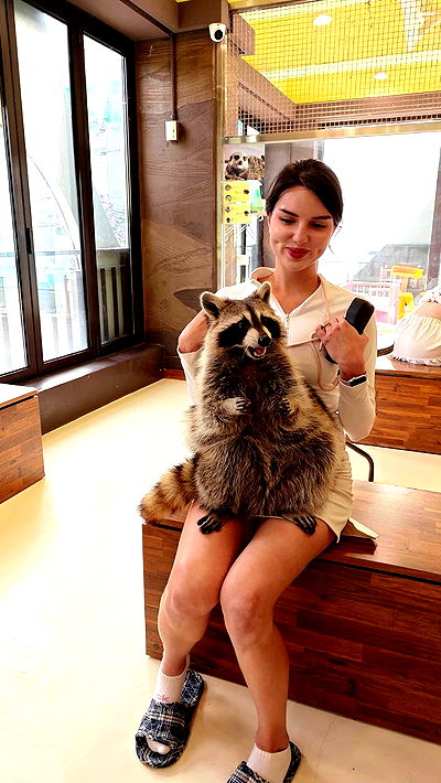 itsilanosh itsilanosh archive video